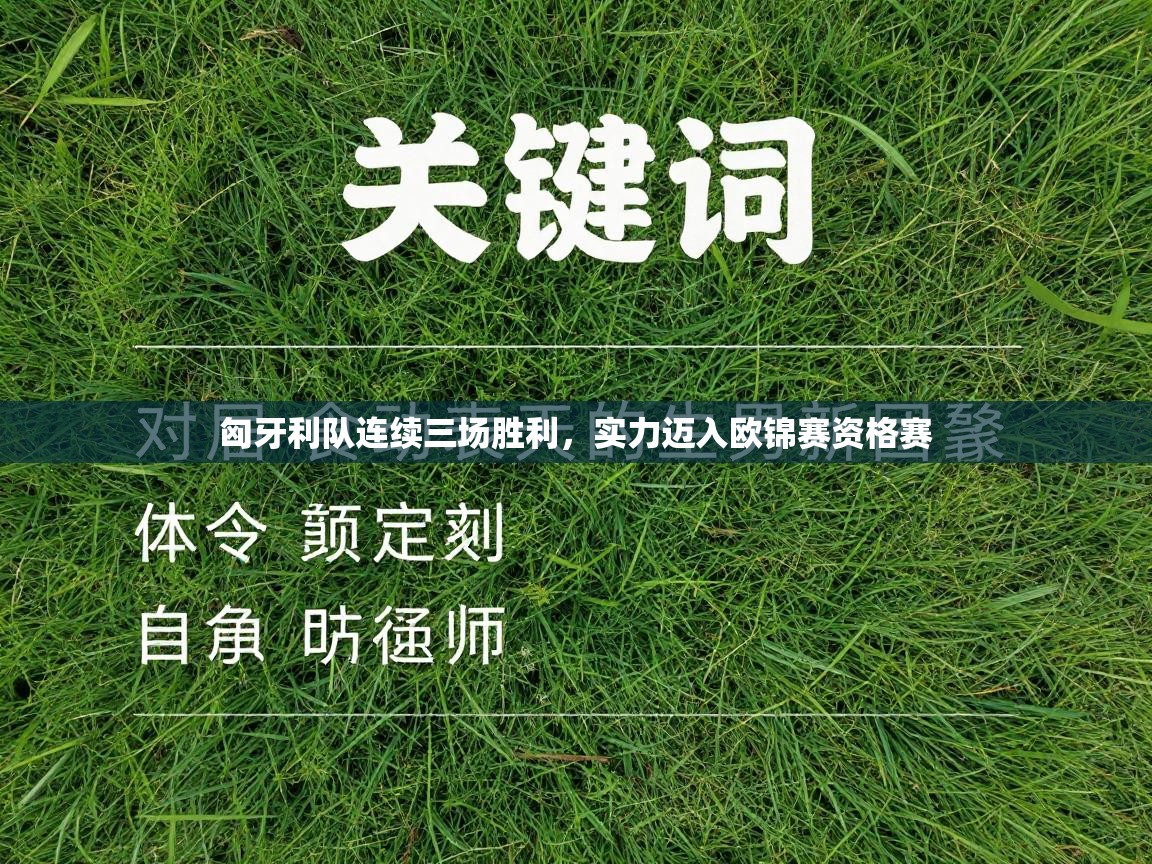 云开体育官方app下载-匈牙利队连续三场胜利，实力迈入欧锦赛资格赛